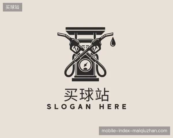 解读买球站中国官网